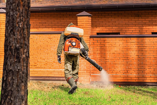 Trusted Bed Bug Control service in Golden, CO - Nex Pest Control
